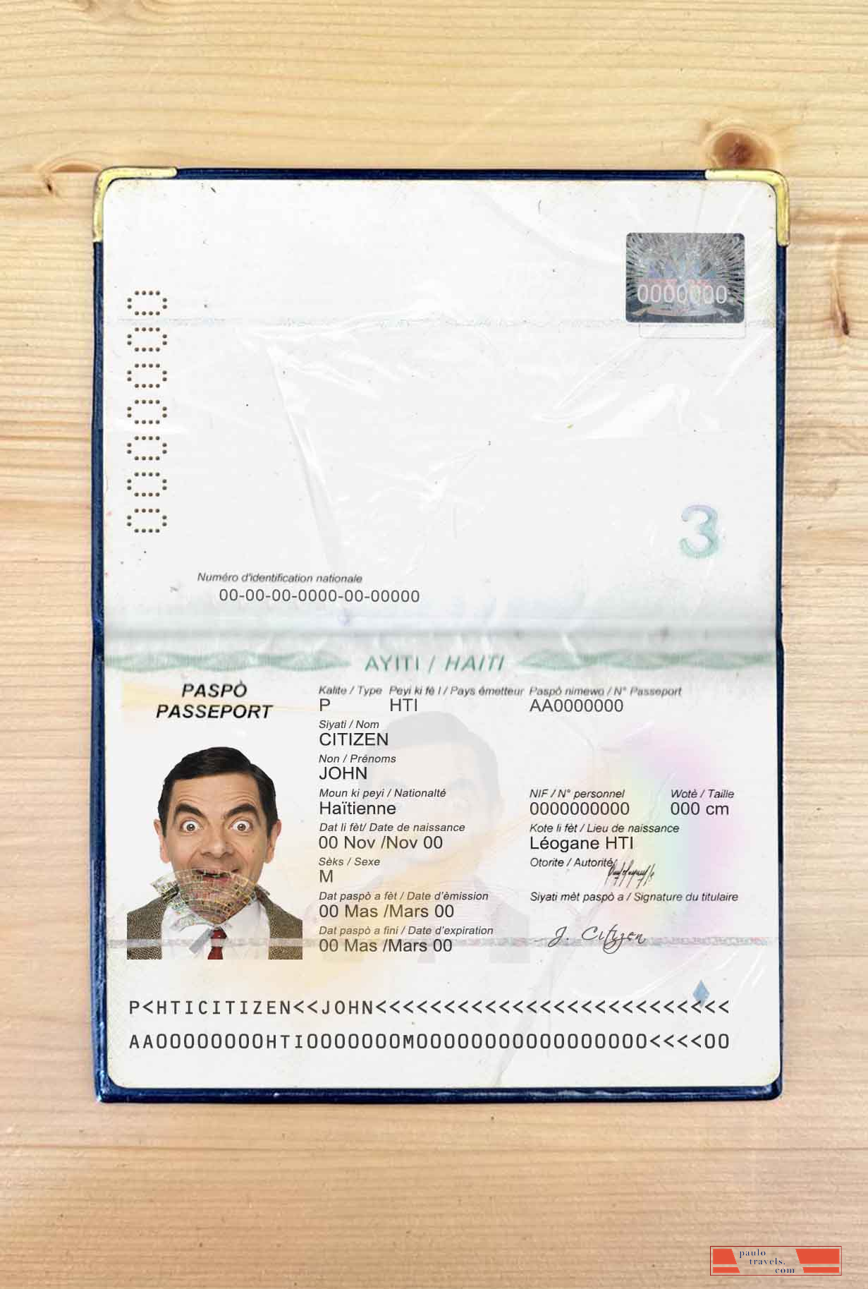 Haiti passport photo look PSD template